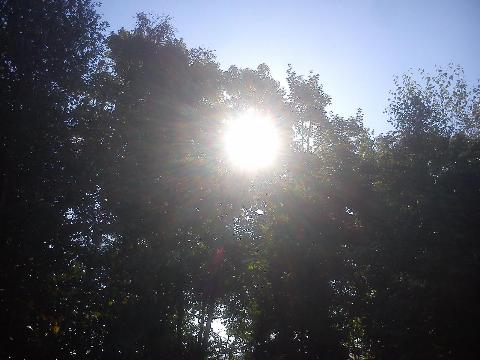 Balkantrasse: Bergisch Born - Remscheid Lennep