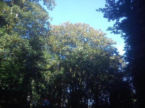 Balkantrasse: Bergisch Born - Remscheid Lennep