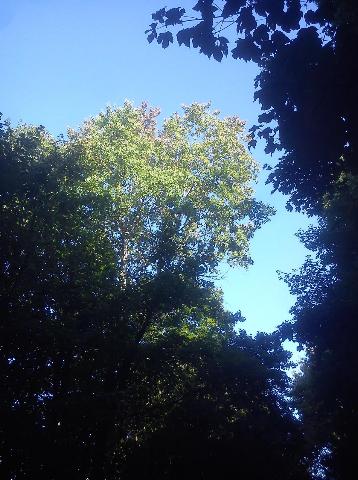 Balkantrasse: Bergisch Born - Remscheid Lennep