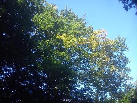 Balkantrasse: Bergisch Born - Remscheid Lennep