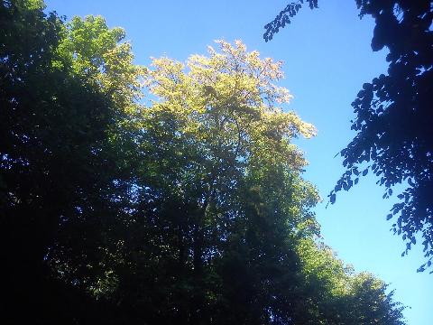 Balkantrasse: Bergisch Born - Remscheid Lennep