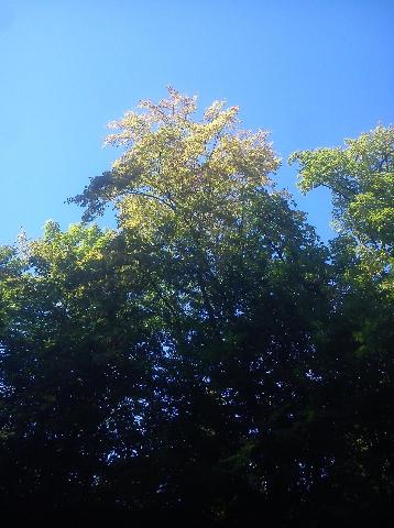 Balkantrasse: Bergisch Born - Remscheid Lennep