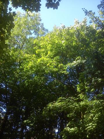 Balkantrasse: Bergisch Born - Remscheid Lennep