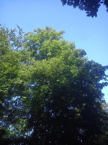 Balkantrasse: Bergisch Born - Remscheid Lennep