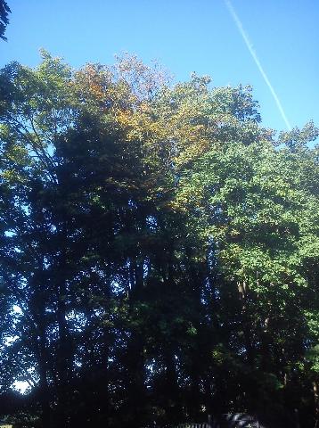 Balkantrasse: Bergisch Born - Remscheid Lennep