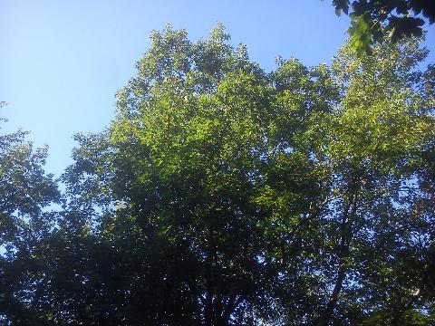 Balkantrasse: Bergisch Born - Remscheid Lennep