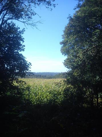Balkantrasse: Bergisch Born - Remscheid Lennep