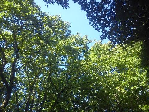 Balkantrasse: Bergisch Born - Remscheid Lennep