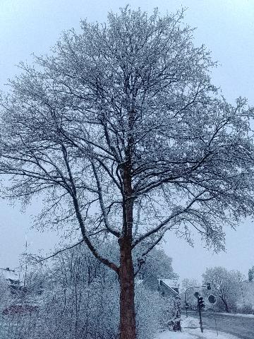 Winterbild H&uuml;ckeswagen 2026