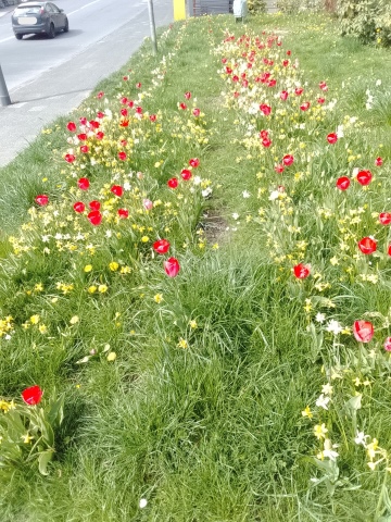 Fr&uuml;hlingsbild Remscheid Lennep 2026