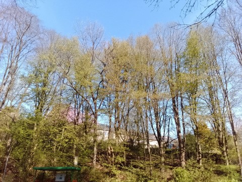 Fr&uuml;hlingsbild Remscheid Lennep