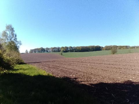 Fr&uuml;hlingsbild: Wermelskirchen - RS Bergisch Born - Remscheid Lennep