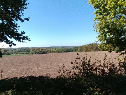 Fr&uuml;hlingsbild: Wermelskirchen - RS Bergisch Born - Remscheid Lennep