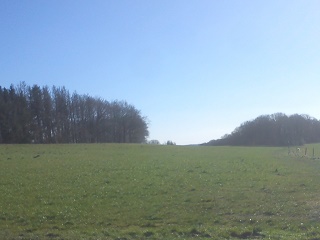 Fr&uuml;hling