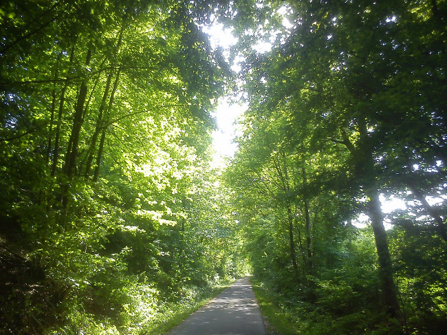 Sommer