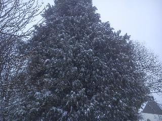 Winter Schneefall Radevormwald
