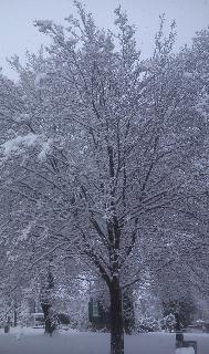 Winter Schneefall Radevormwald