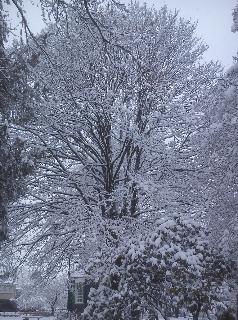 Winter Schneefall Radevormwald
