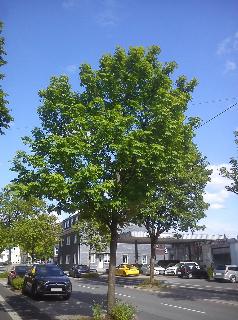 Sommer Kaiserstra&szlig;e Radevormwald