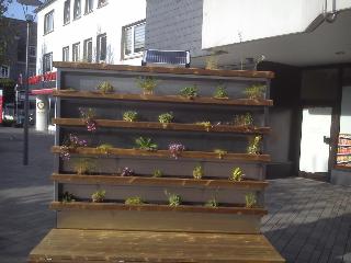 Sommer Blumenbank Radevormwald