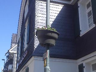 Sommer Blumentopf H&uuml;ckeswagen