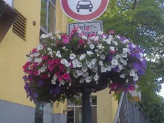 Sommer Blumentopf H&uuml;ckeswagen