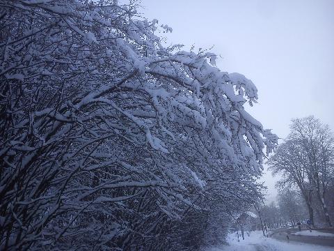Winter Schneefall H&uuml;ckeswagen