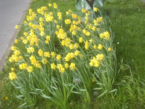 Fr&uuml;hling Remscheid Lennep