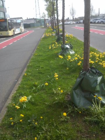 Fr&uuml;hling Remscheid Lennep