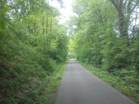 Fr&uuml;hling ehem. Bahntrasse Wiehagen H&uuml;ckeswagen Bergisch Born