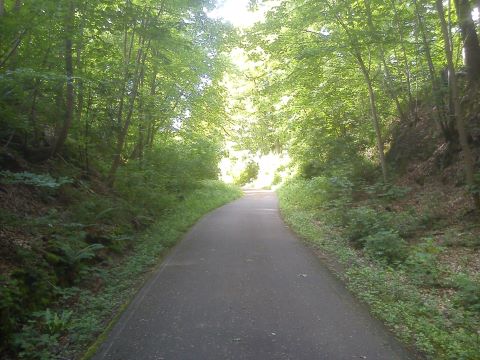 Fr&uuml;hling ehem. Bahntrasse H&uuml;ckeswagen
