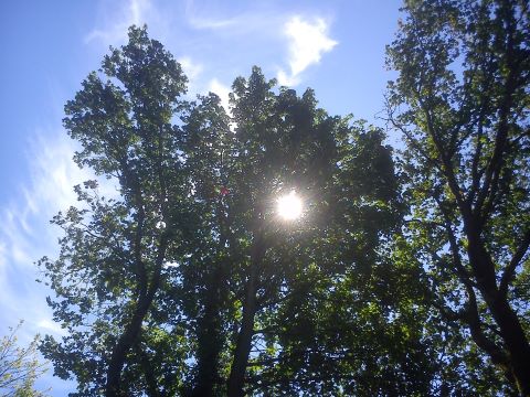 Fr&uuml;hling