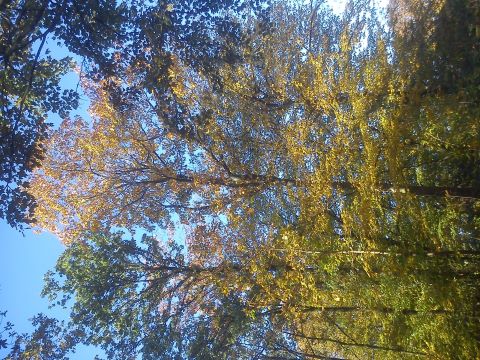 Herbst Radevormwald