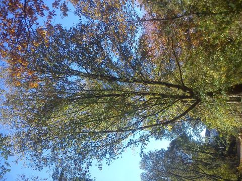 Herbst Radevormwald