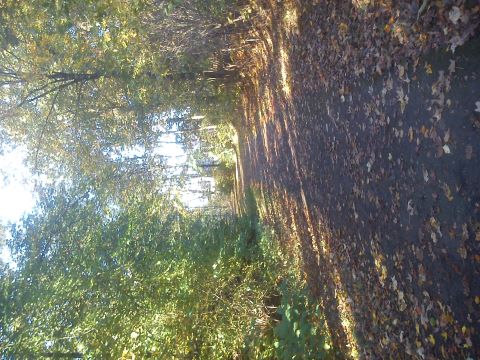 Herbst Radevormwald
