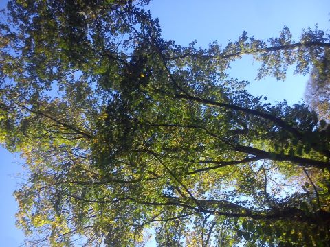 Herbst Radevormwald