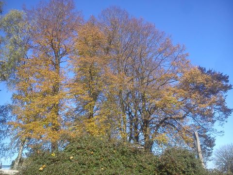 Herbst Radevormwald