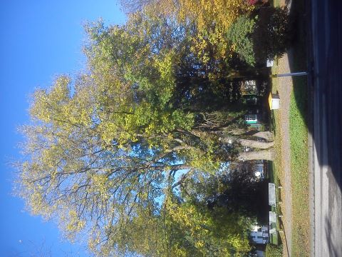 Herbst Park: Parc de Chateaubriant Radevormwald