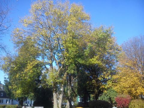 Herbst Park: Parc de Chateaubriant Radevormwald