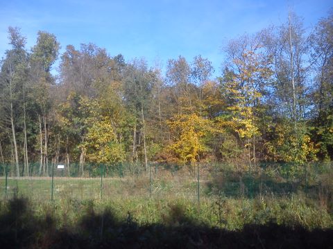 Herbst D&ouml;rpe Wiehagen H&uuml;ckeswagen