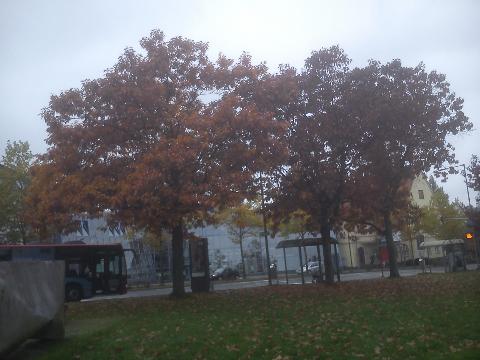 L&uuml;denscheid Stadtgarten