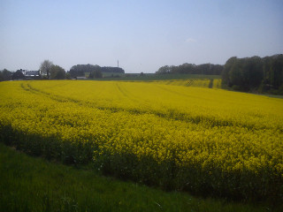 Sommer