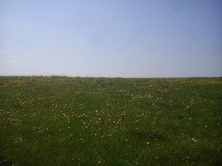 Sommer