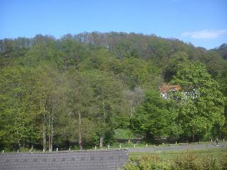 Sommer