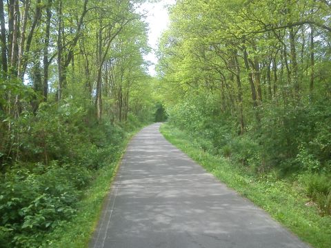 Fr&uuml;hling ehem. Bahntrasse Wiehagen H&uuml;ckeswagen Bergisch Born