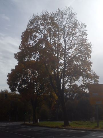 Herbst Winterhagen D&ouml;rpe H&uuml;ckeswagen