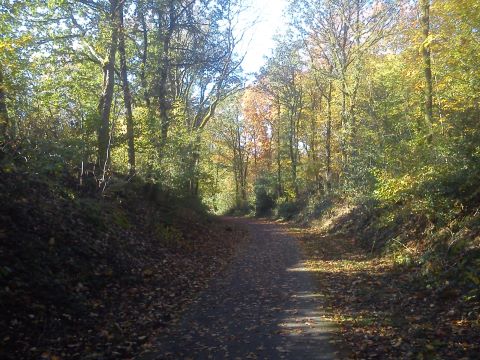 Herbst Radevormwald